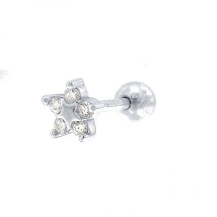 BRINCO PRATA RODEADA PIERCING