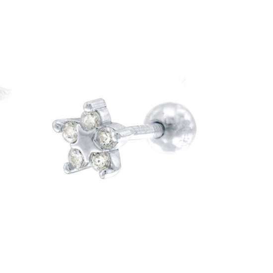 BRINCO PRATA RODEADA PIERCING
