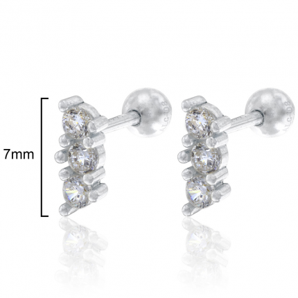 BRINCOS PRATA RODEADA BRINCOS PRATA RODEADA