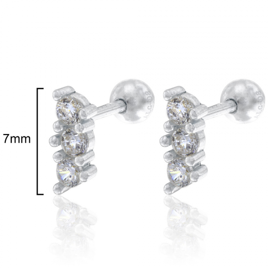 BRINCOS PRATA RODEADA