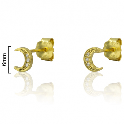 BRINCOS PRATA DOURADA