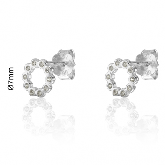 BRINCOS PRATA RODEADA