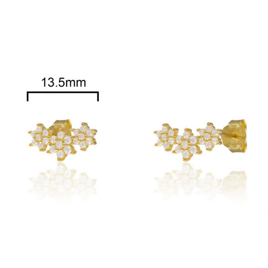 BRINCOS PRATA DOURADA