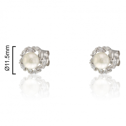 BRINCOS PRATA RODEADA