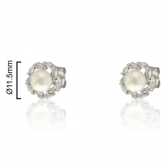 BRINCOS PRATA RODEADA