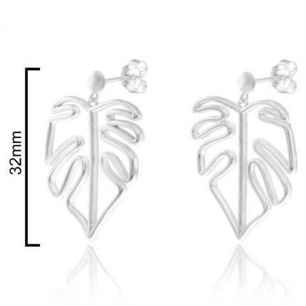 Brincos Prata Rodeada Brincos Prata Rodeada