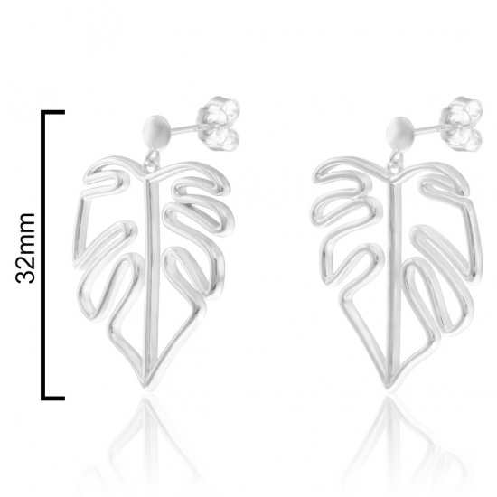 BRINCOS PRATA RODEADA