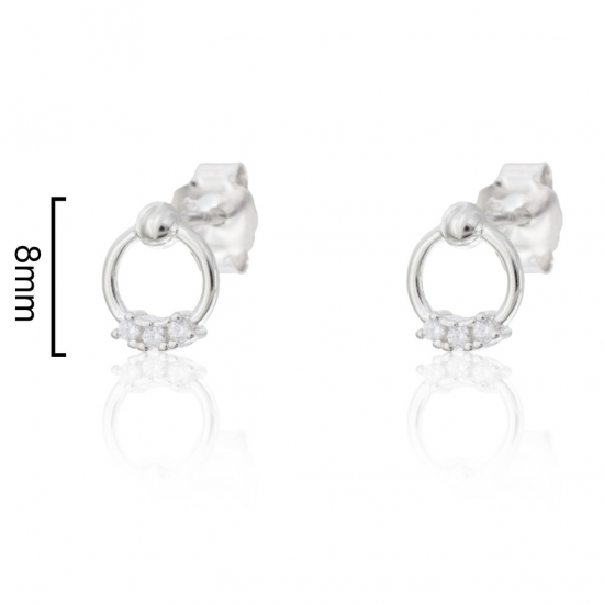 BRINCOS PRATA RODEADA