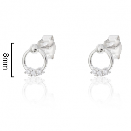 BRINCOS PRATA RODEADA