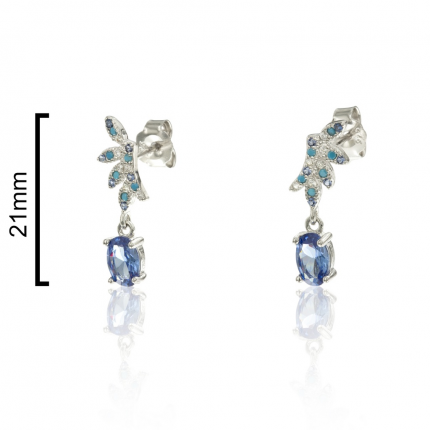 Brincos Prata Rodeada Brincos Prata Rodeada