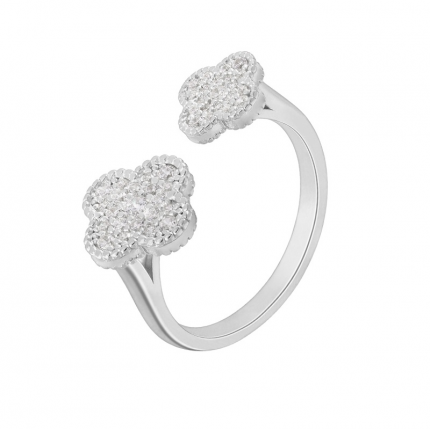 ANEL PRATA RODEADA MAREA 