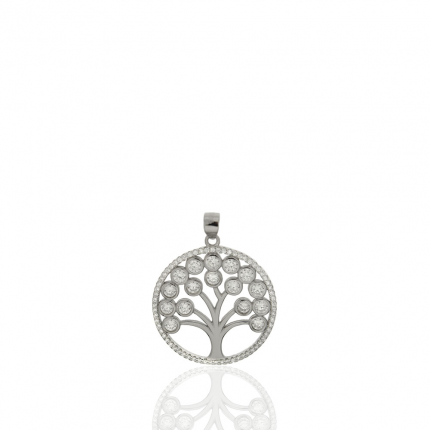 MEDALHA PRATA RODEADA