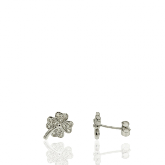 BRINCOS PRATA RODEADA