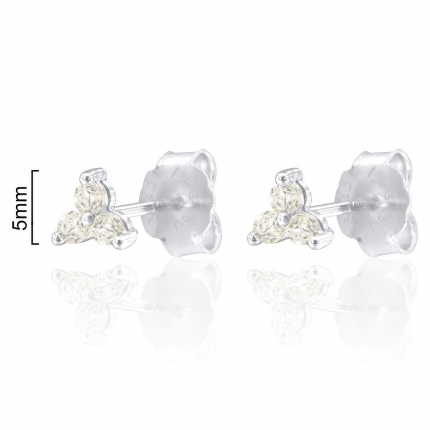 BRINCOS PRATA RODEADA BRINCOS PRATA RODEADA