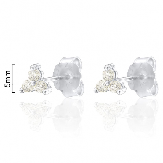 BRINCOS PRATA RODEADA