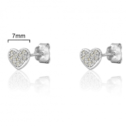 BRINCOS PRATA RODEADA BRINCOS PRATA RODEADA