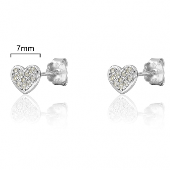 BRINCOS PRATA RODEADA