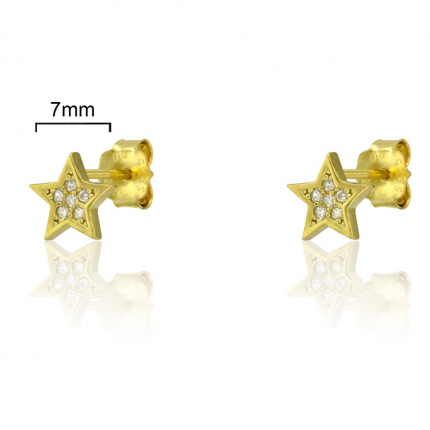 BRINCOS PRATA DOURADA