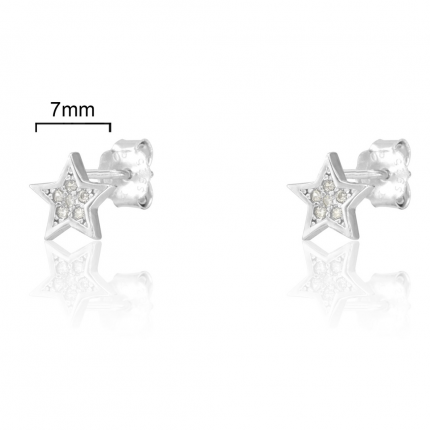 BRINCOS PRATA RODEADA