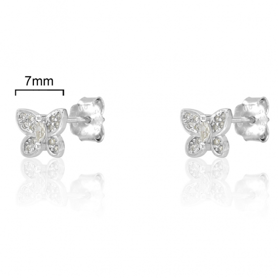 BRINCOS PRATA RODEADA