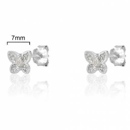 BRINCOS PRATA RODEADA