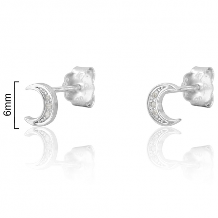 BRINCOS PRATA RODEDA