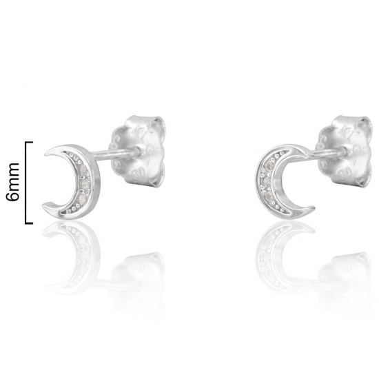 BRINCOS PRATA RODEDA