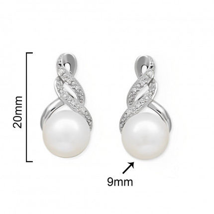 BRINCOS PRATA RODEADA BRINCOS PRATA RODEADA