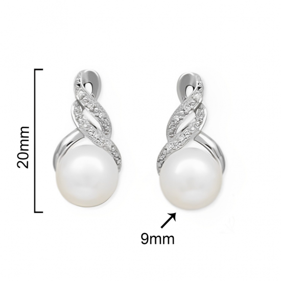 BRINCOS PRATA RODEADA