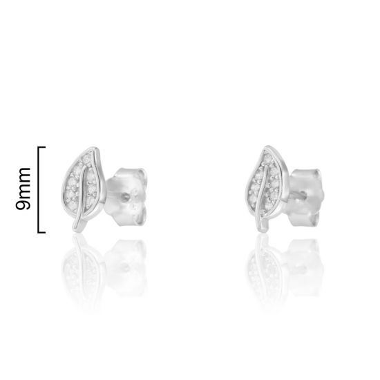 BRINCOS PRATA RODEADA