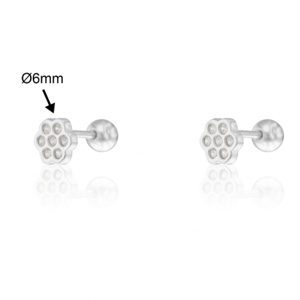 BRINCOS PRATA RODEADA