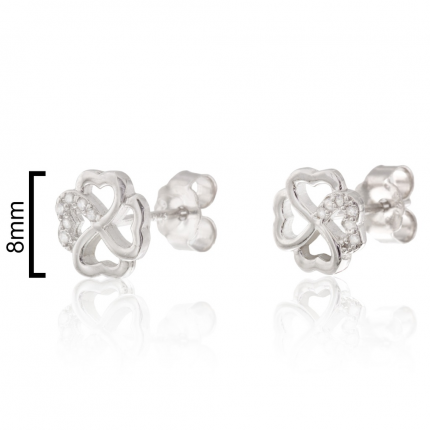 BRINCOS PRATA RODEADA