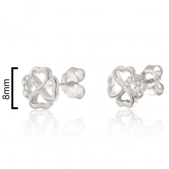 BRINCOS PRATA RODEADA