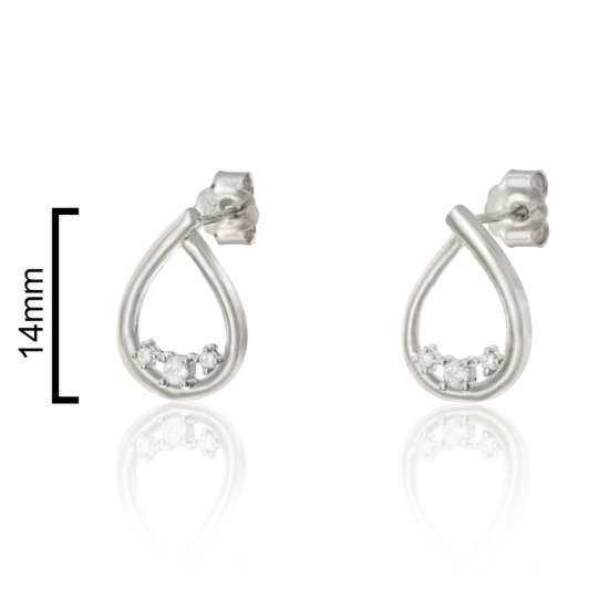 BRINCOS PRATA RODEADA