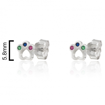 BRINCOS PRATA RODEADA BRINCOS PRATA RODEADA