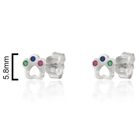 BRINCOS PRATA RODEADA BRINCOS PRATA RODEADA