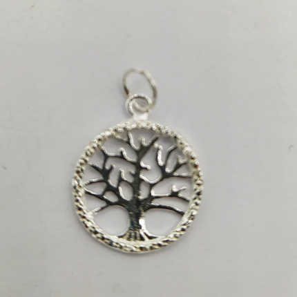 MEDALHA PRATA RODEADA