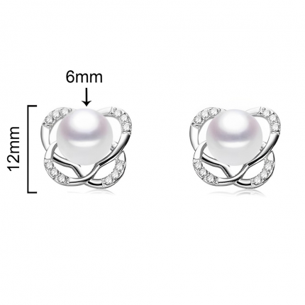 BRINCOS PRATA RODEADA BRINCOS PRATA RODEADA