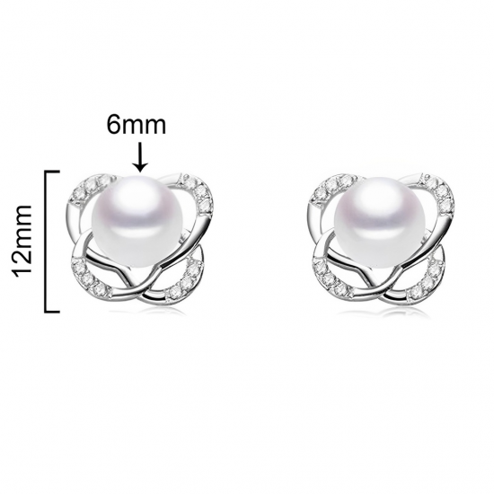 BRINCOS PRATA RODEADA