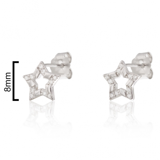 BRINCOS PRATA RODEADA