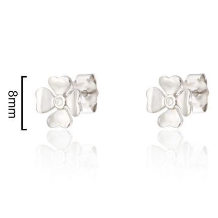 BRINCOS PRATA RODEADA