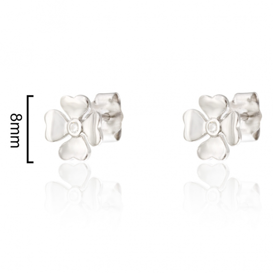 BRINCOS PRATA RODEADA