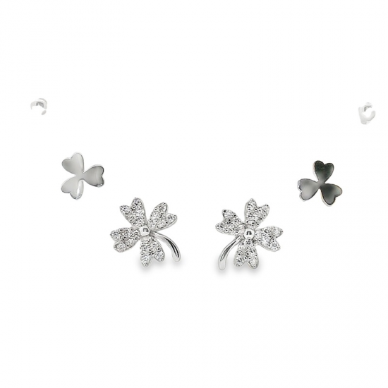 BRINCOS PRATA RODEADA