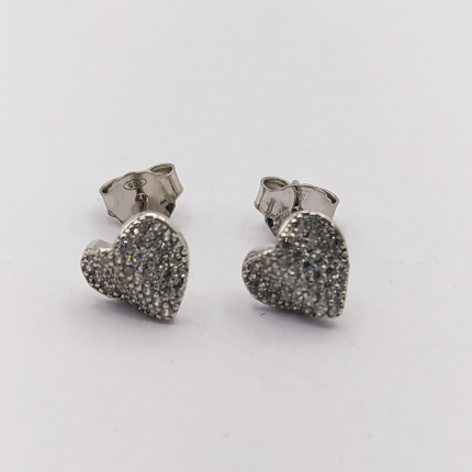 BRINCOS PRATA RODEADA