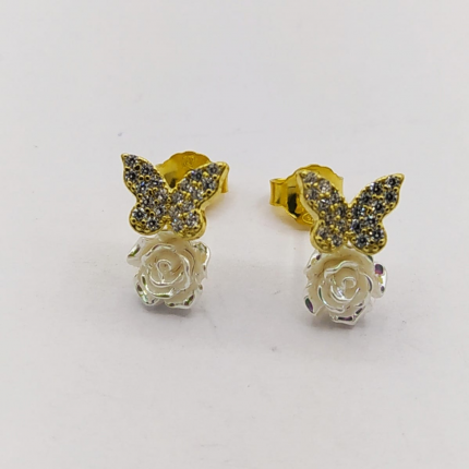 BRINCOS PRATA RODEADA