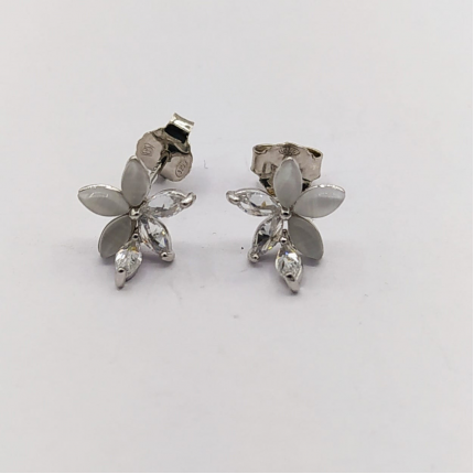 BRINCOS PRATA RODEADA