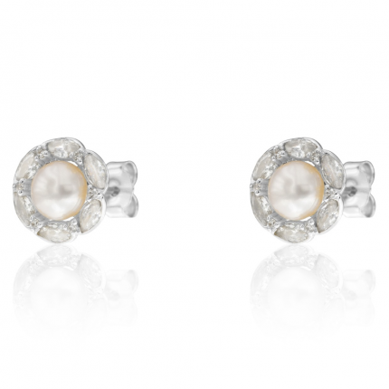 BRINCOS PRATA RODEADA