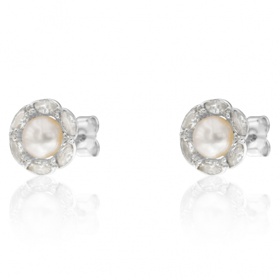 BRINCOS PRATA RODEADA