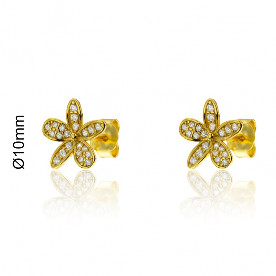 BRINCOS PRATA DOURADA