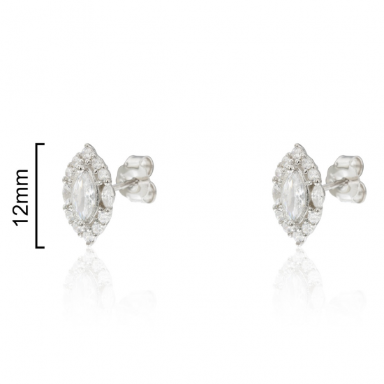 BRINCOS PRATA RODEADA